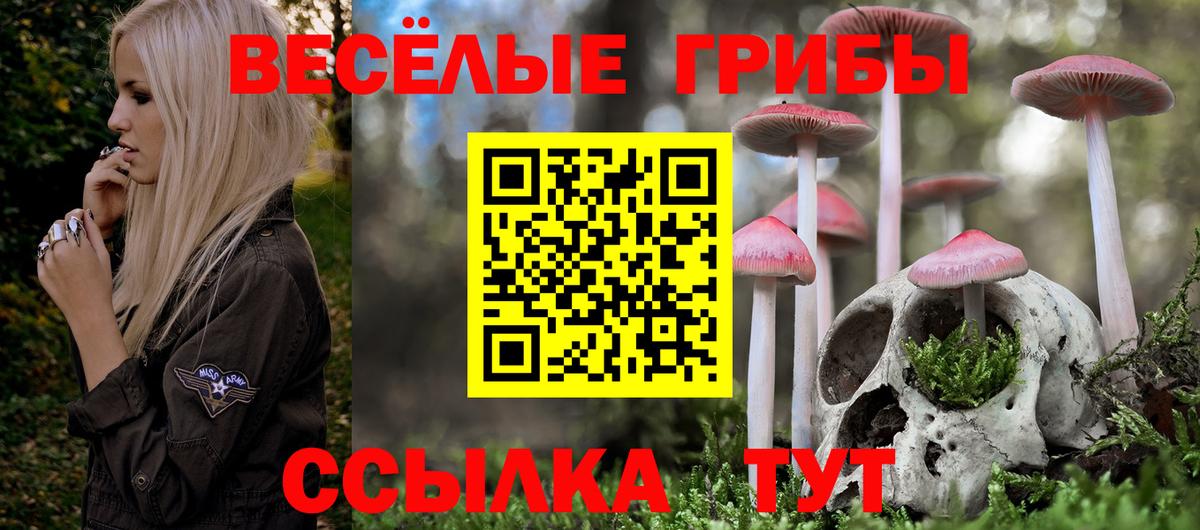 Галлюциногенные грибы MAGIC MUSHROOMS Александров